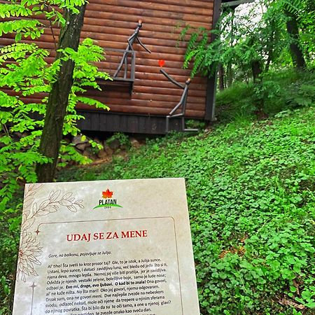 Apartmán Oaza Prirode, Brvnare Platan Vrdnik Exteriér fotografie