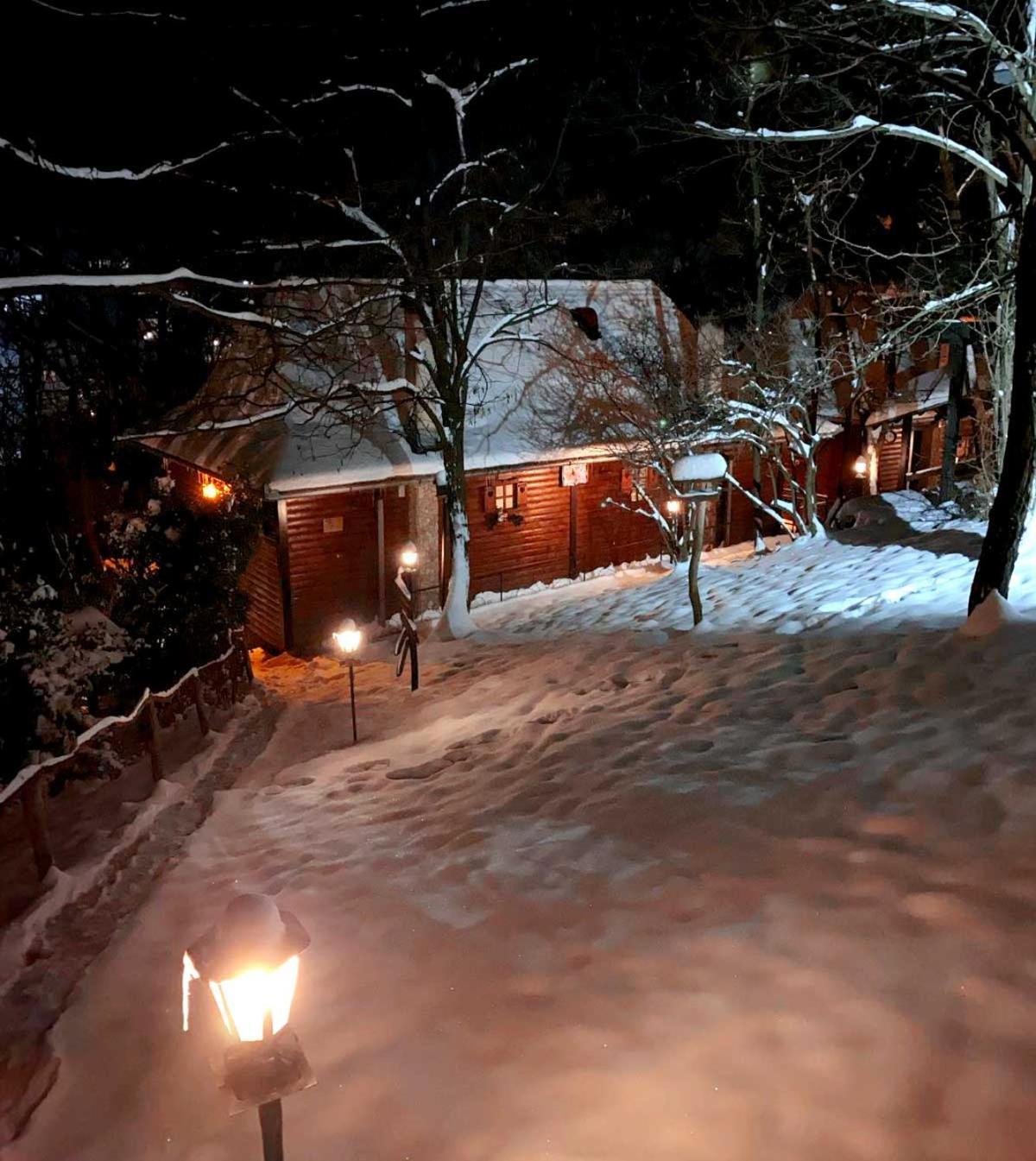 Apartmán Oaza Prirode, Brvnare Platan Vrdnik Exteriér fotografie