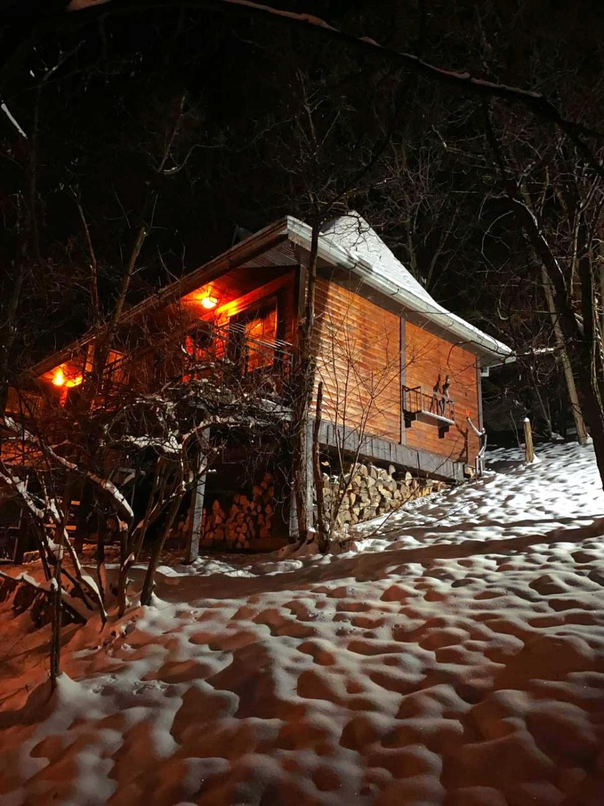 Apartmán Oaza Prirode, Brvnare Platan Vrdnik Exteriér fotografie