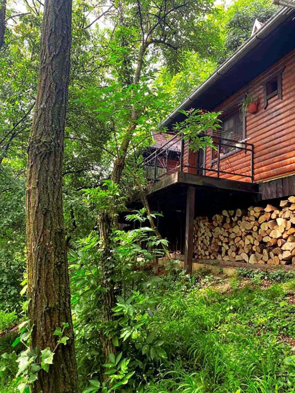 Apartmán Oaza Prirode, Brvnare Platan Vrdnik Exteriér fotografie