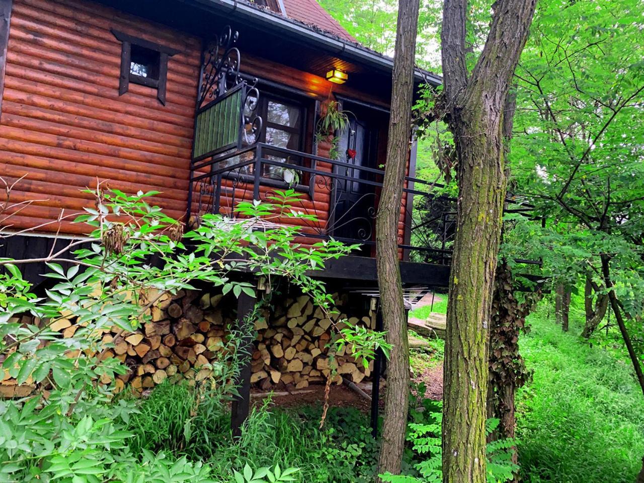 Apartmán Oaza Prirode, Brvnare Platan Vrdnik Exteriér fotografie