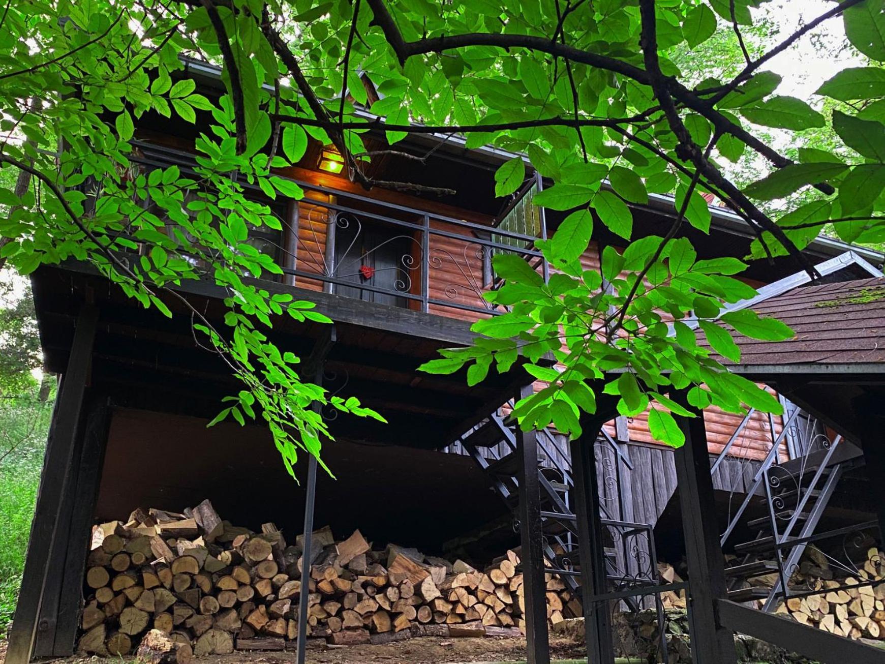 Apartmán Oaza Prirode, Brvnare Platan Vrdnik Exteriér fotografie