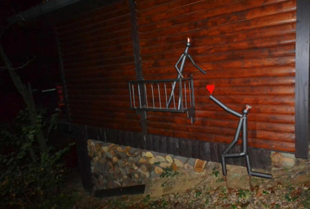 Apartmán Oaza Prirode, Brvnare Platan Vrdnik Exteriér fotografie