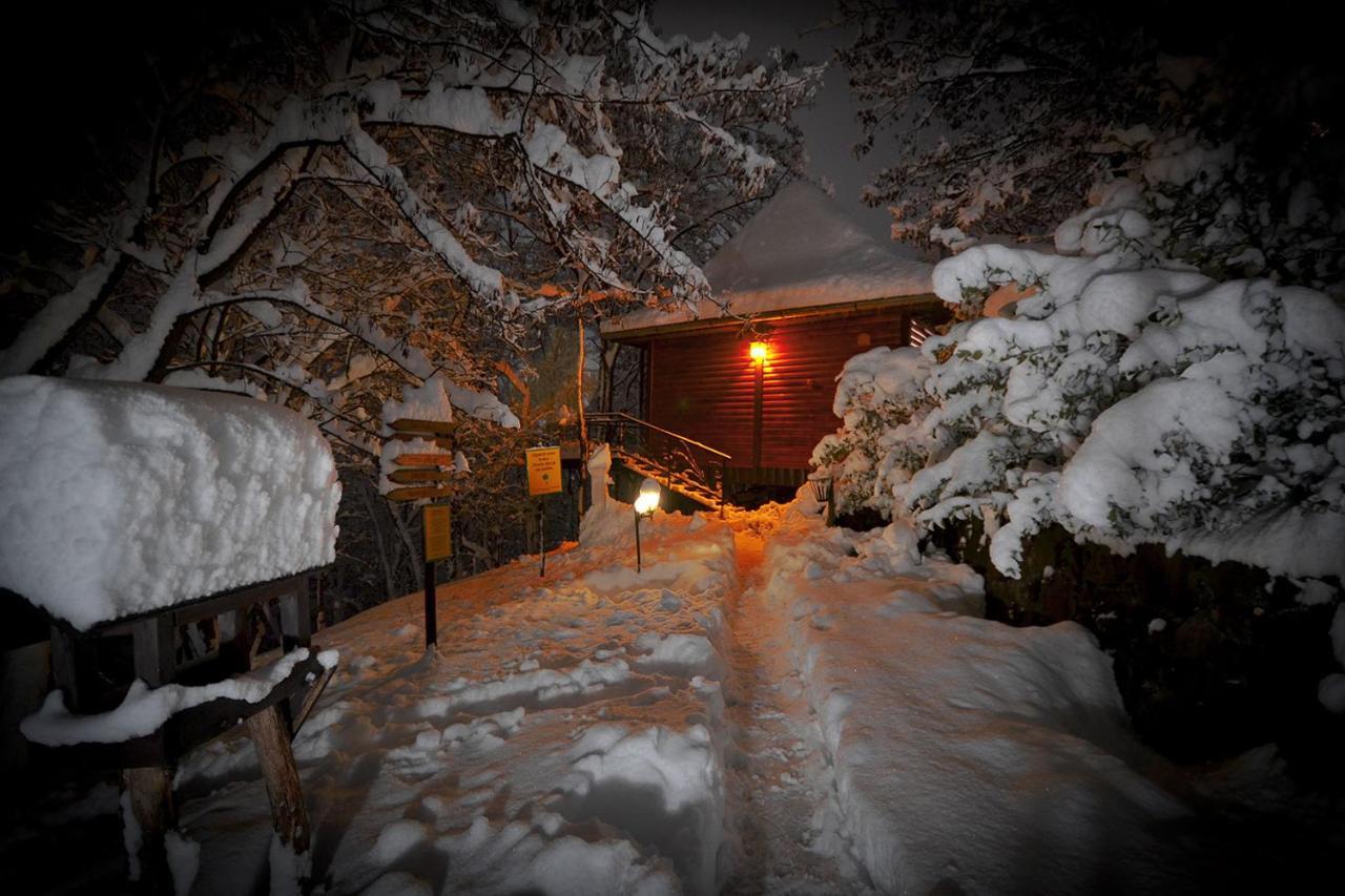 Apartmán Oaza Prirode, Brvnare Platan Vrdnik Exteriér fotografie