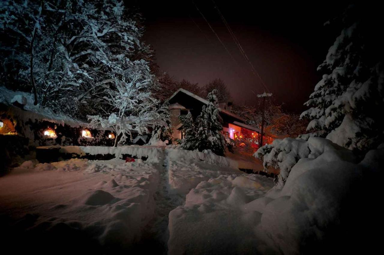 Apartmán Oaza Prirode, Brvnare Platan Vrdnik Exteriér fotografie